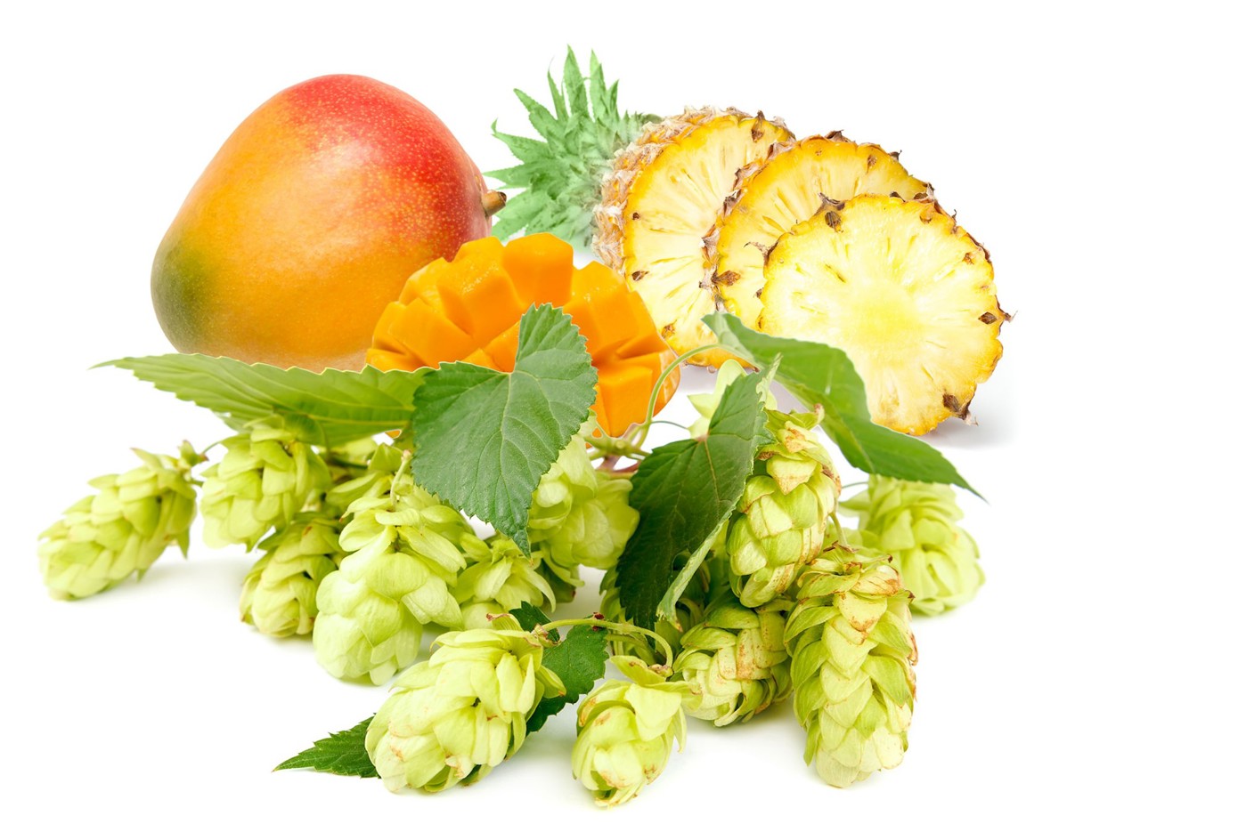 Humlebitterhet sammen med frisk aroma og smak fra tropiske frukter er en populær kombinasjon.